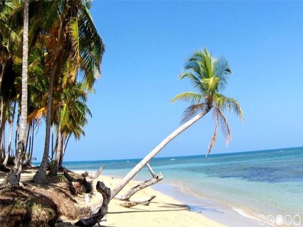 Caoba Apartman Las Terrenas Kültér fotó